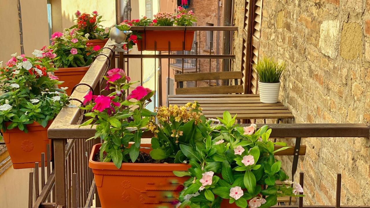 S. Ercolano Hotel